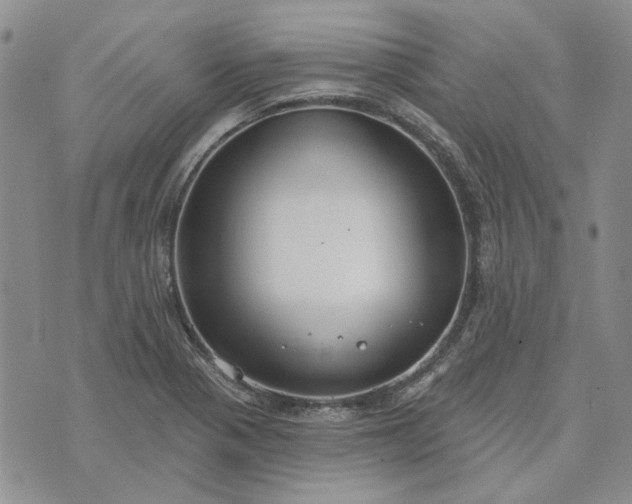 X0000072971321200608041208