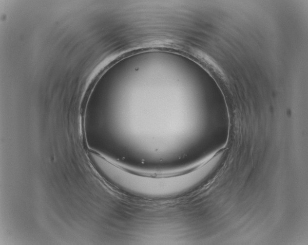 X0000072971324200608041208