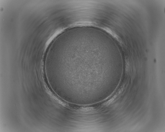 X0000072971325200608041208