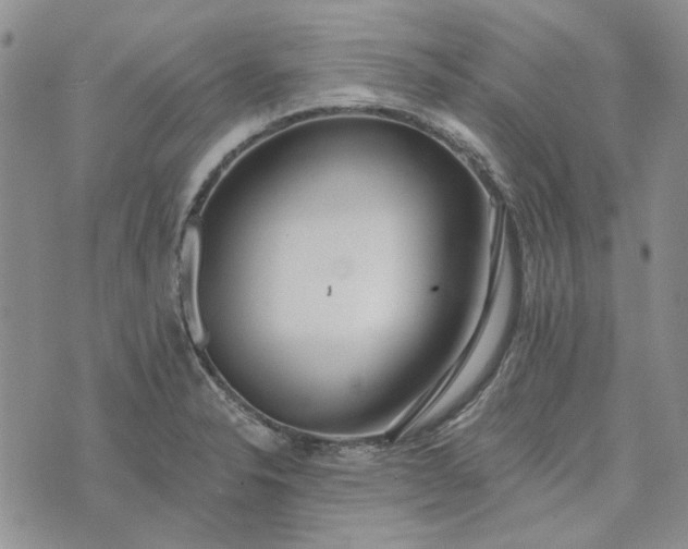 X0000072971326200608041208