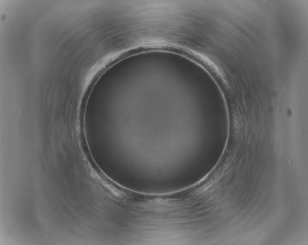 X0000072971327200608041208