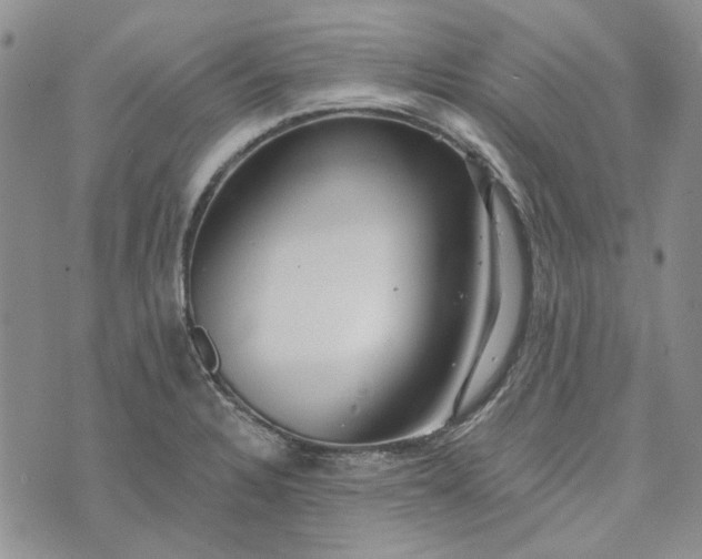 X0000072971328200608041208