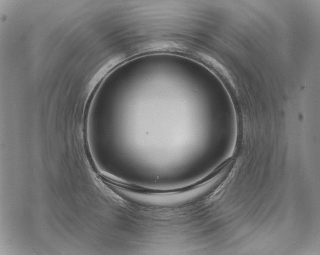 X0000072971330200608041208