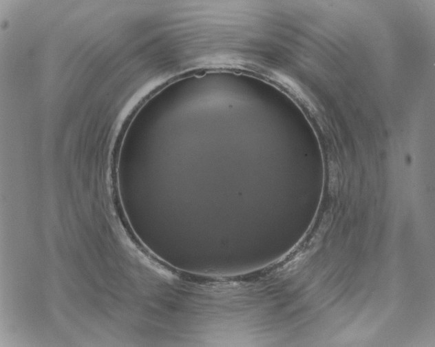 X0000072971331200608041208