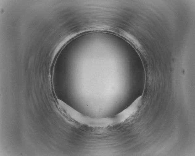 X0000072971332200608041208