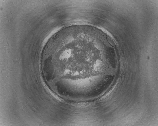 X0000072971333200608041208