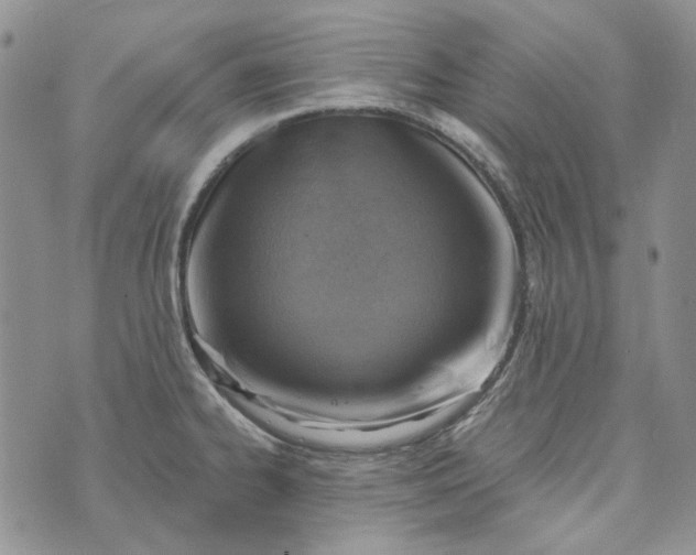 X0000072971334200608041208