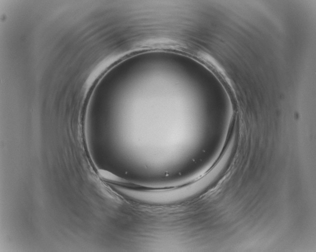 X0000072971336200608041208