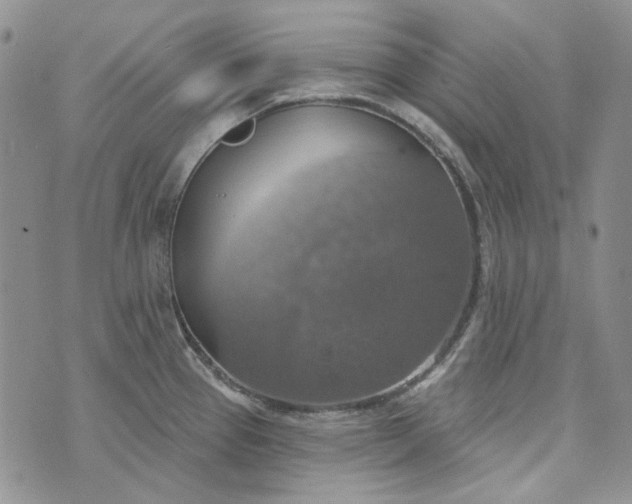 X0000072971337200608041208