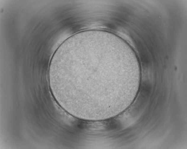 X0000072971338200608041208