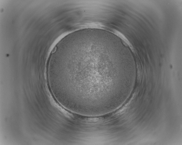 X0000072971339200608041208