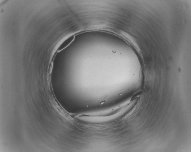 X0000072971340200608041208