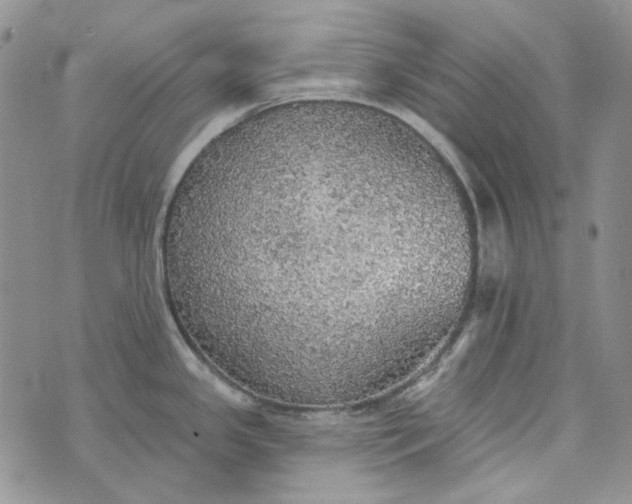 X0000072971341200608041208