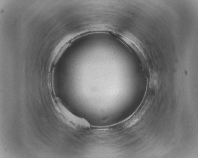 X0000072971342200608041208