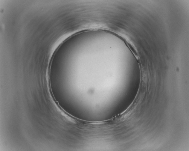 X0000072971343200608041208