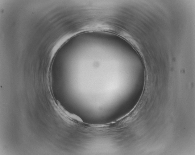 X0000072971344200608041208