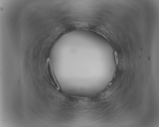 X0000072971345200608041208