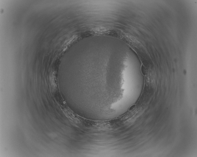 X0000072971346200608041208