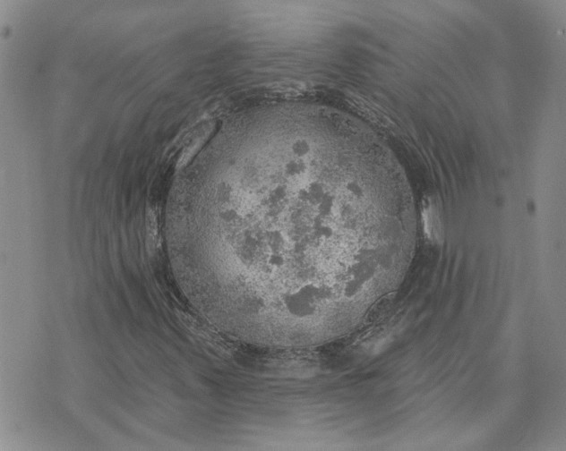 X0000072971347200608041208