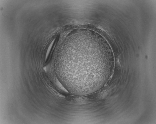 X0000072971348200608041208