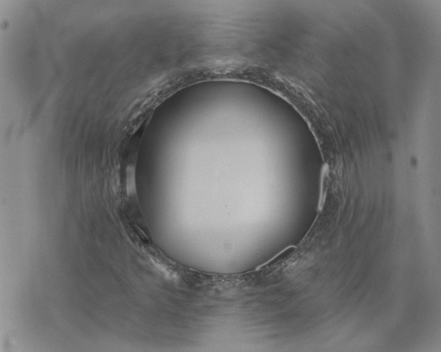 X0000072971349200608041208