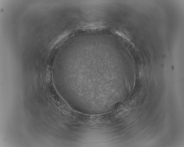 X0000072971350200608041207