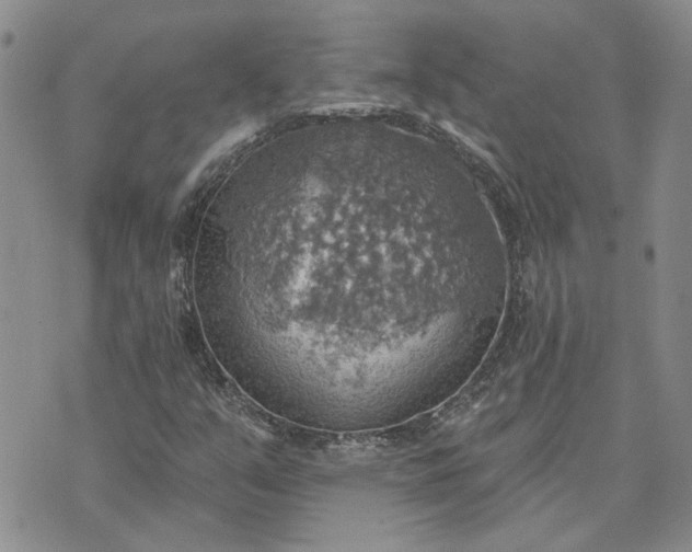 X0000072971351200608041207