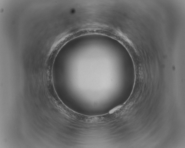 X0000072971352200608041207