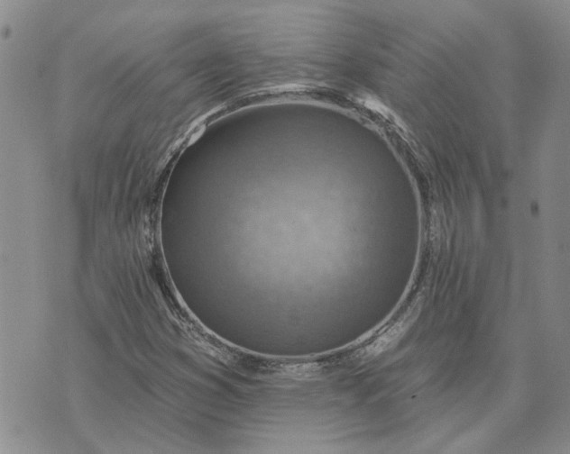 X0000072971353200608041207