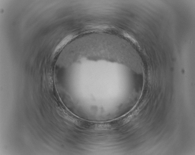 X0000072971354200608041207