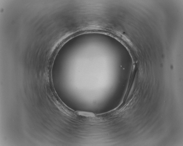 X0000072971356200608041207