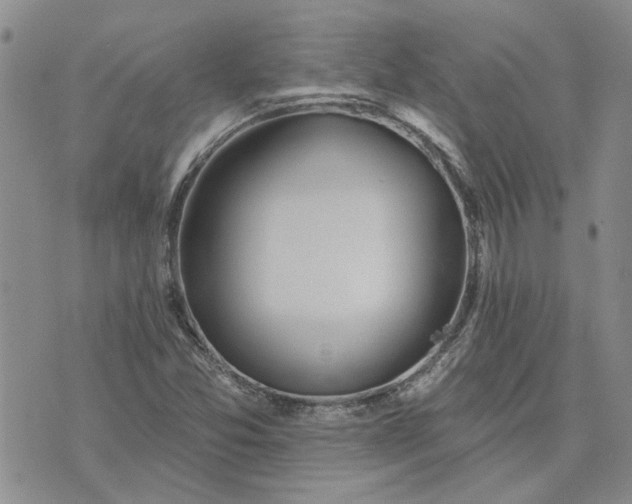 X0000072971357200608041207