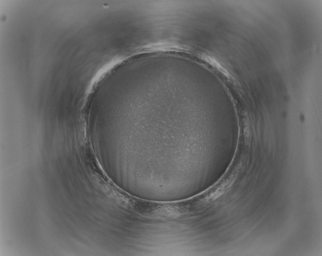 X0000072971358200608041207