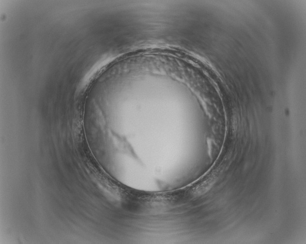 X0000072971359200608041207