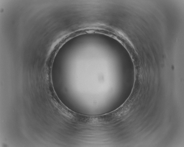 X0000072971360200608041207