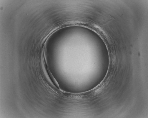 X0000072971361200608041207