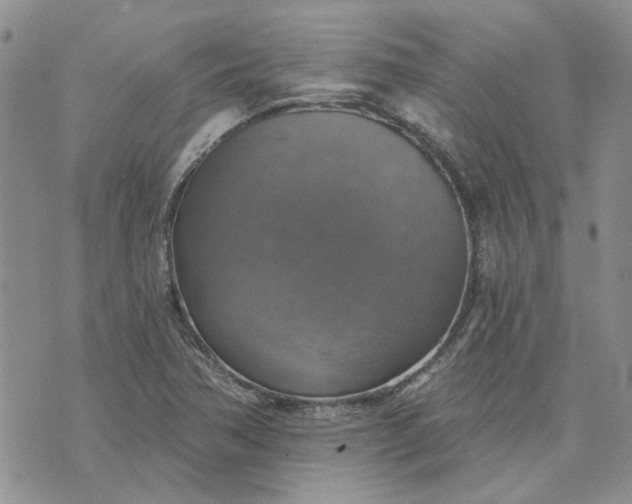 X0000072971362200608041207