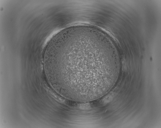 X0000072971363200608041207