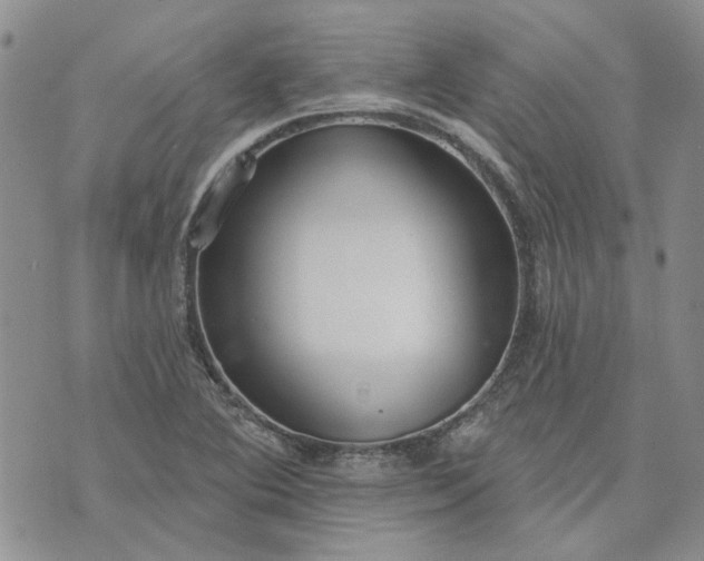 X0000072971364200608041207