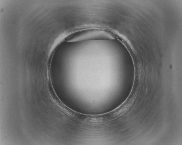 X0000072971365200608041207