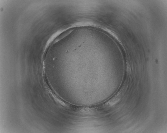 X0000072971366200608041207