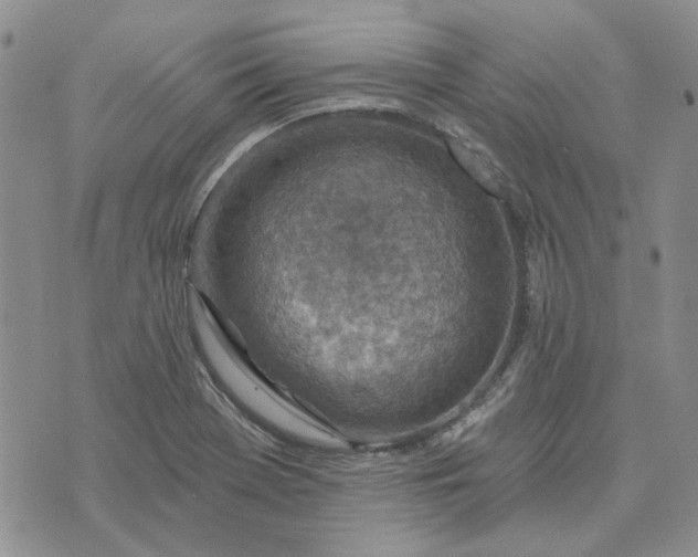 X0000072971369200608041207