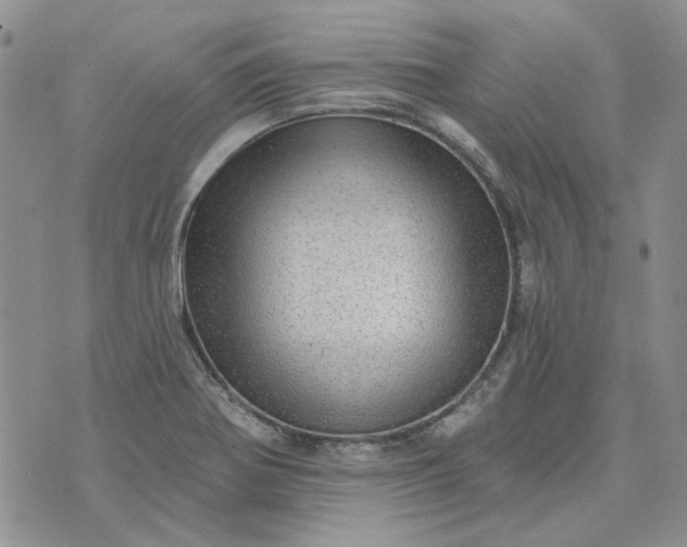 X0000072971370200608041207