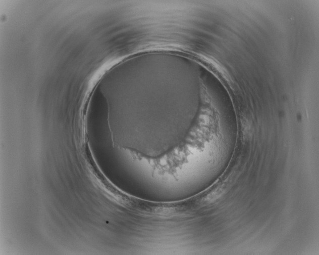 X0000072971371200608041207