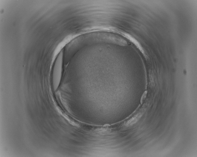 X0000072971373200608041207