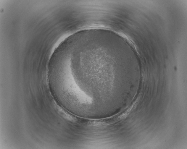 X0000072971374200608041207