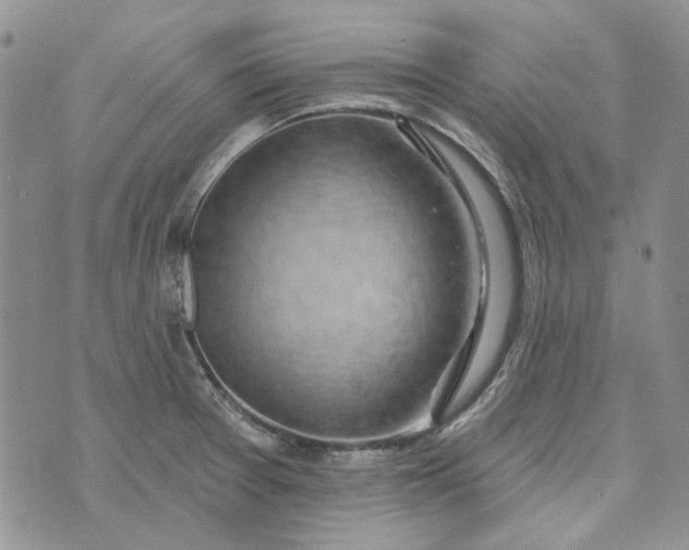 X0000072971377200608041207