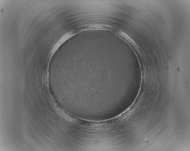 X0000072971378200608041207