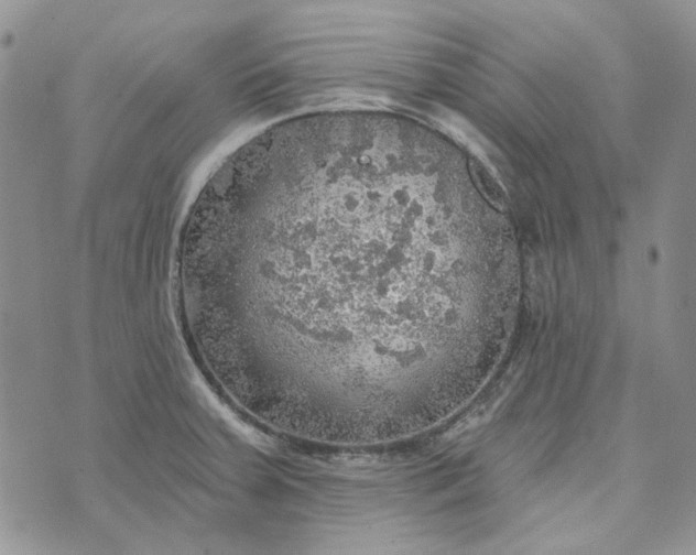 X0000072971379200608041207