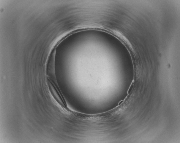 X0000072971380200608041207